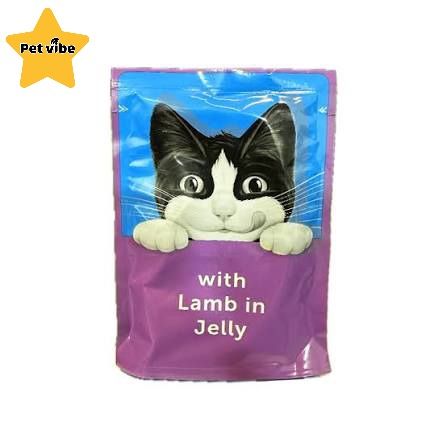 پوچ مخصوص گربه فلیکس روسیه با طعم گوشت بره در ژله وزن 85 گرم